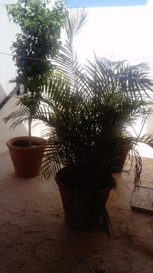 Rum i privatbostad Posada El Limonazo Cancún Mexiko