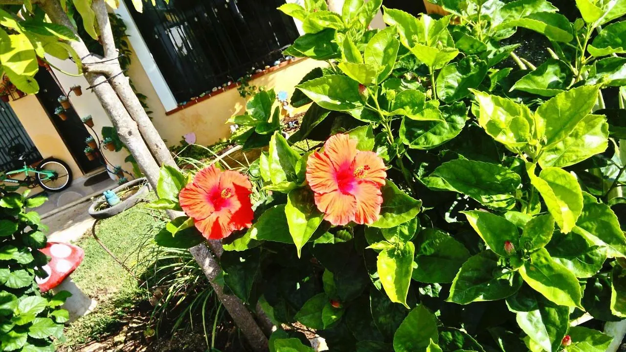Posada El Limonazo Cancún 0*,  Mexiko