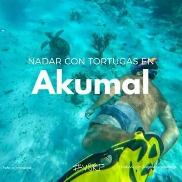 Posada El Limonazo Cancún 0*,