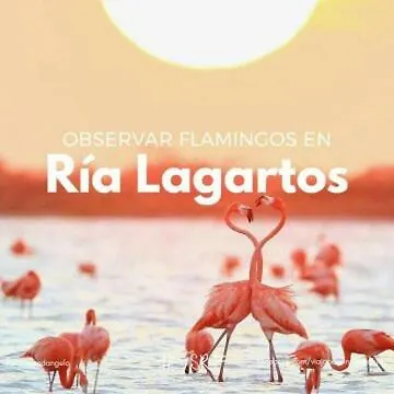 Posada El Limonazo Cancún Rum i privatbostad