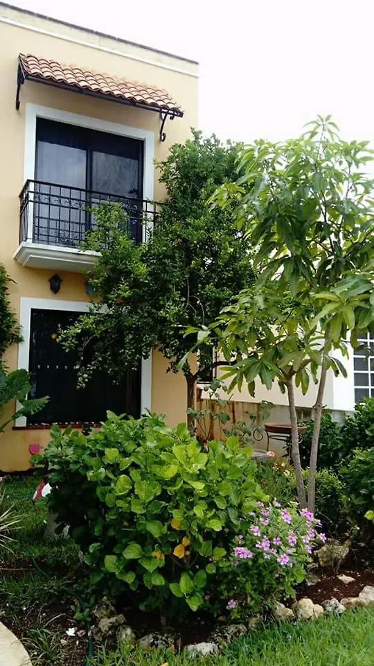 Posada El Limonazo 칸쿤 홈스테이